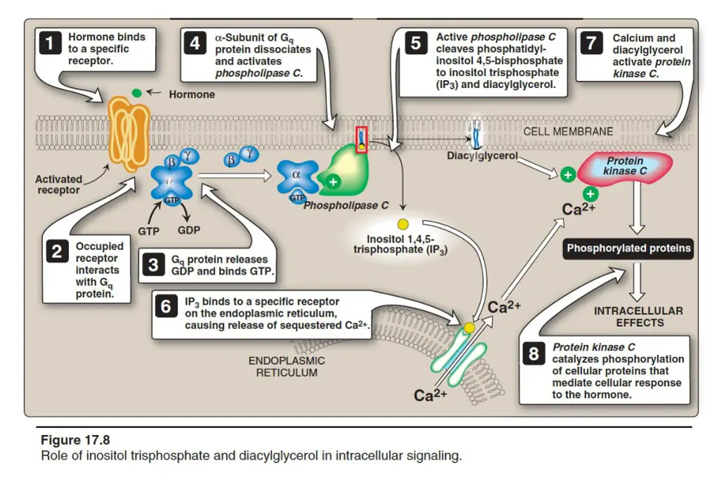 slide15