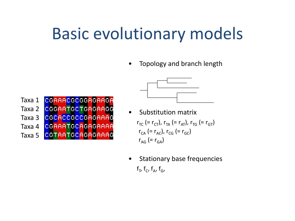 basic evolutionary models