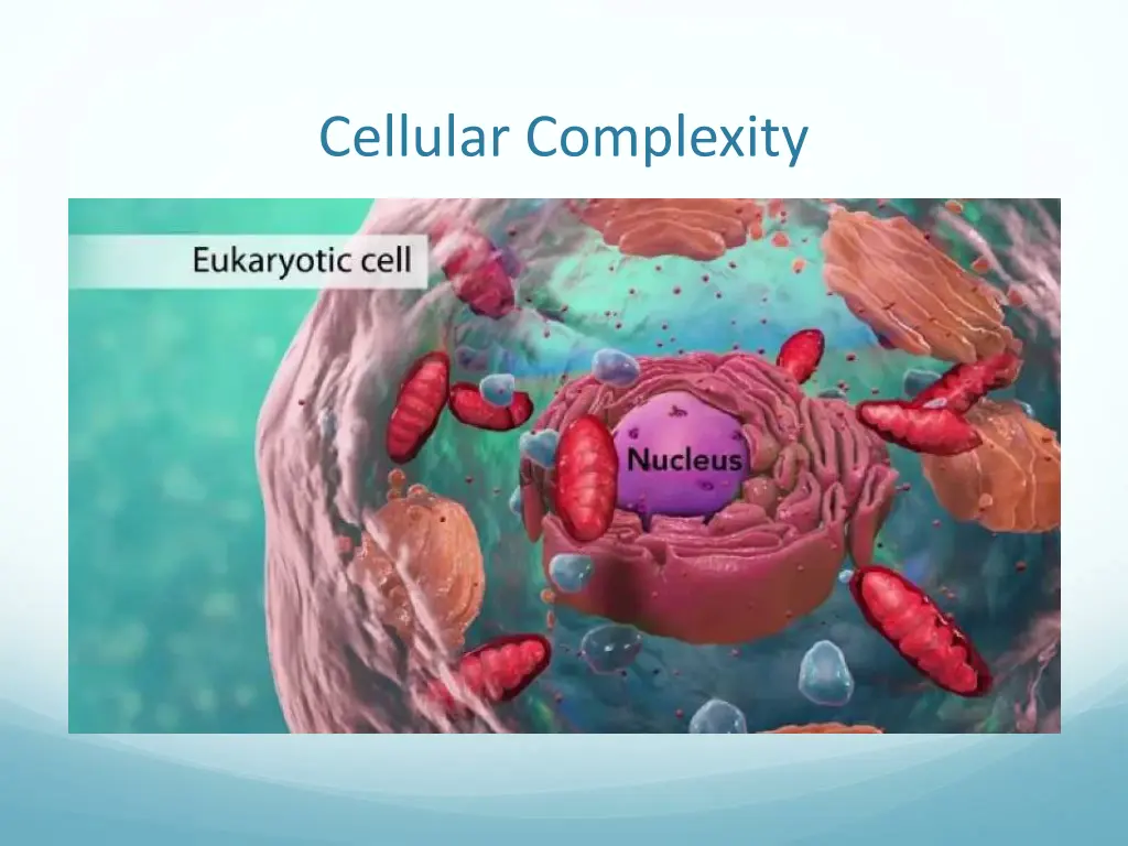 cellular complexity