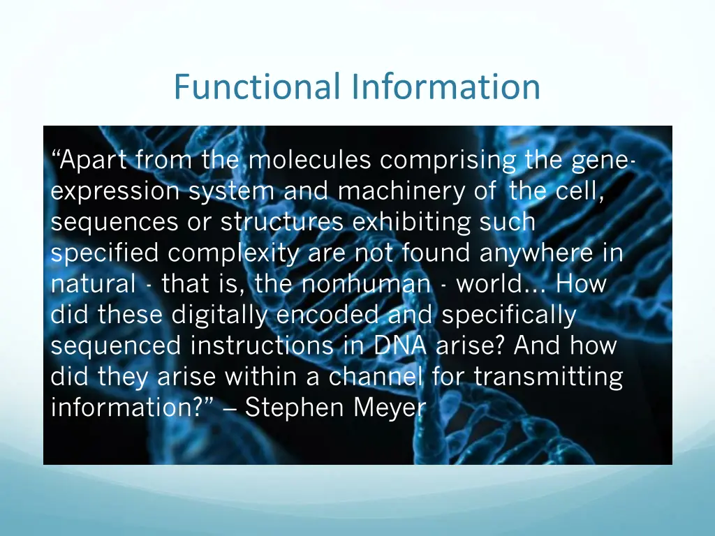 functional information