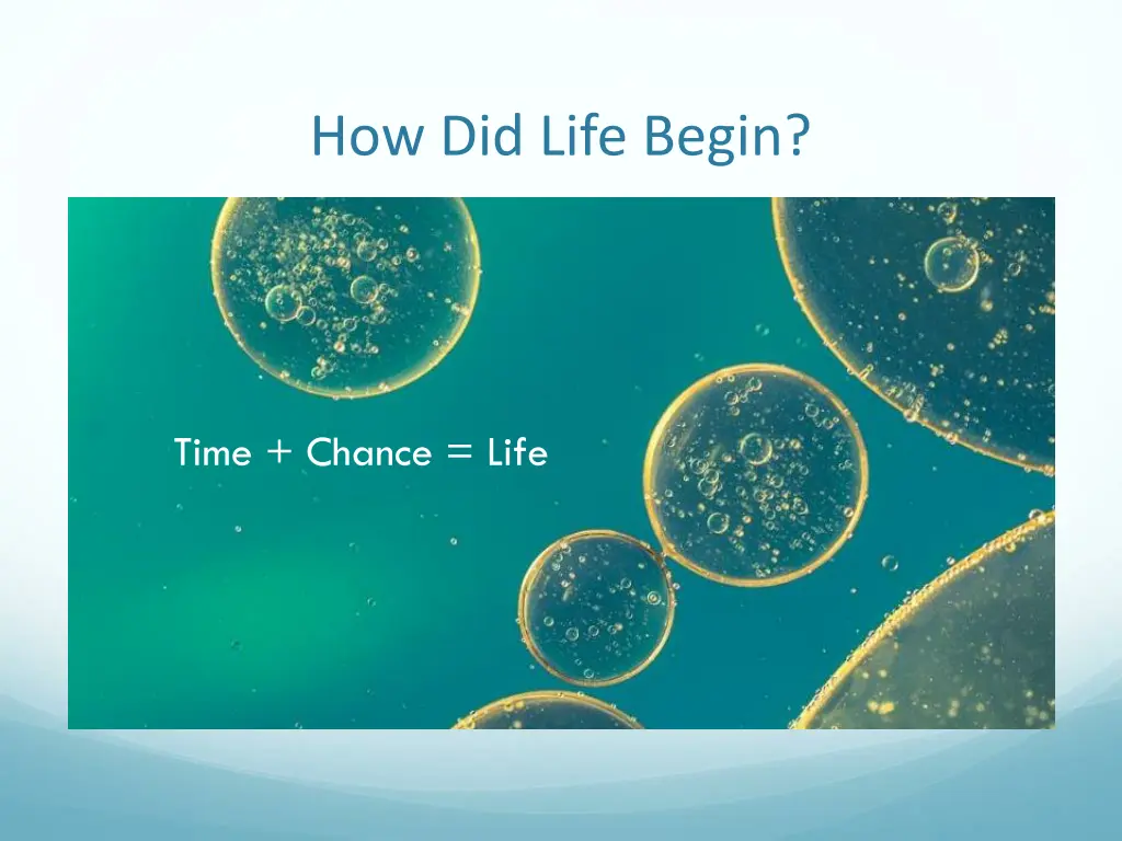 how did life begin