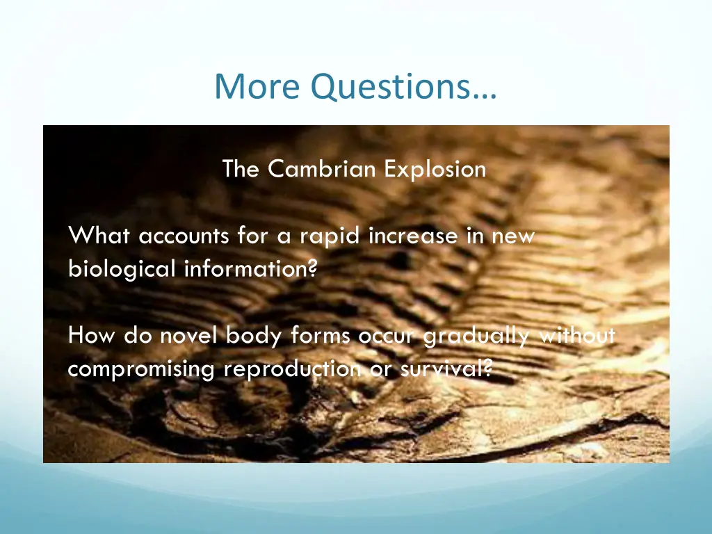 more questions