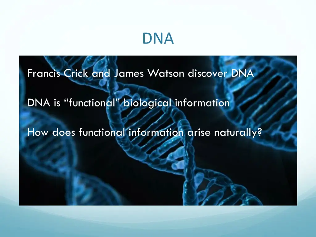 slide17