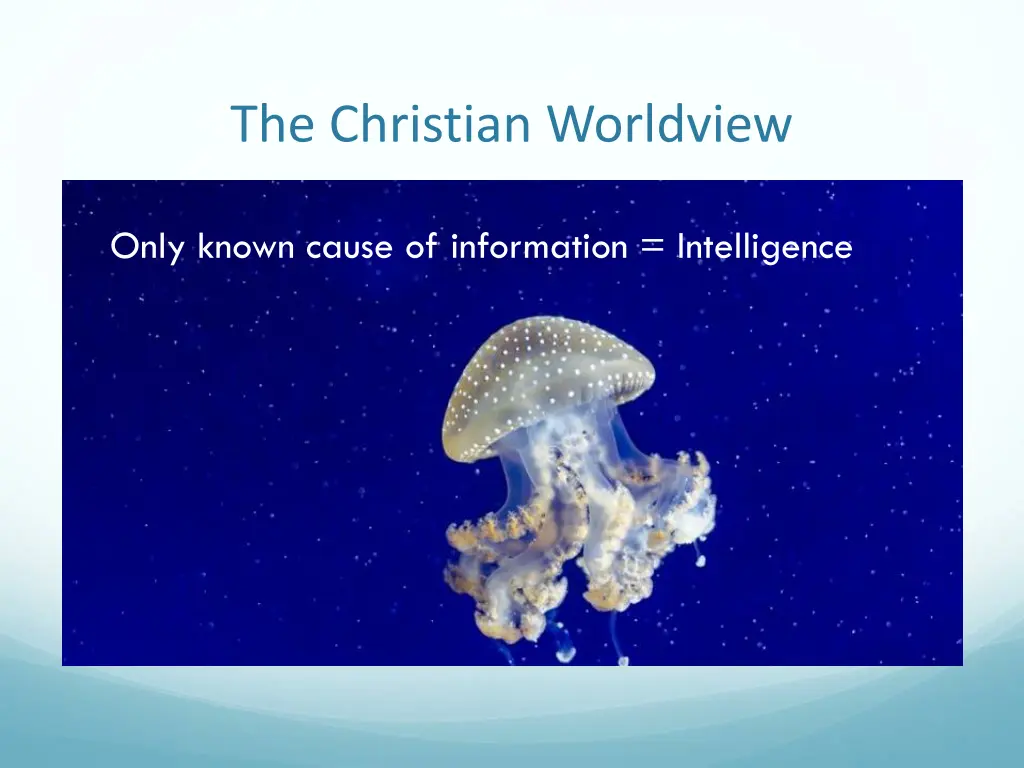 the christian worldview 2
