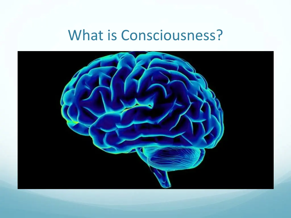 what is consciousness