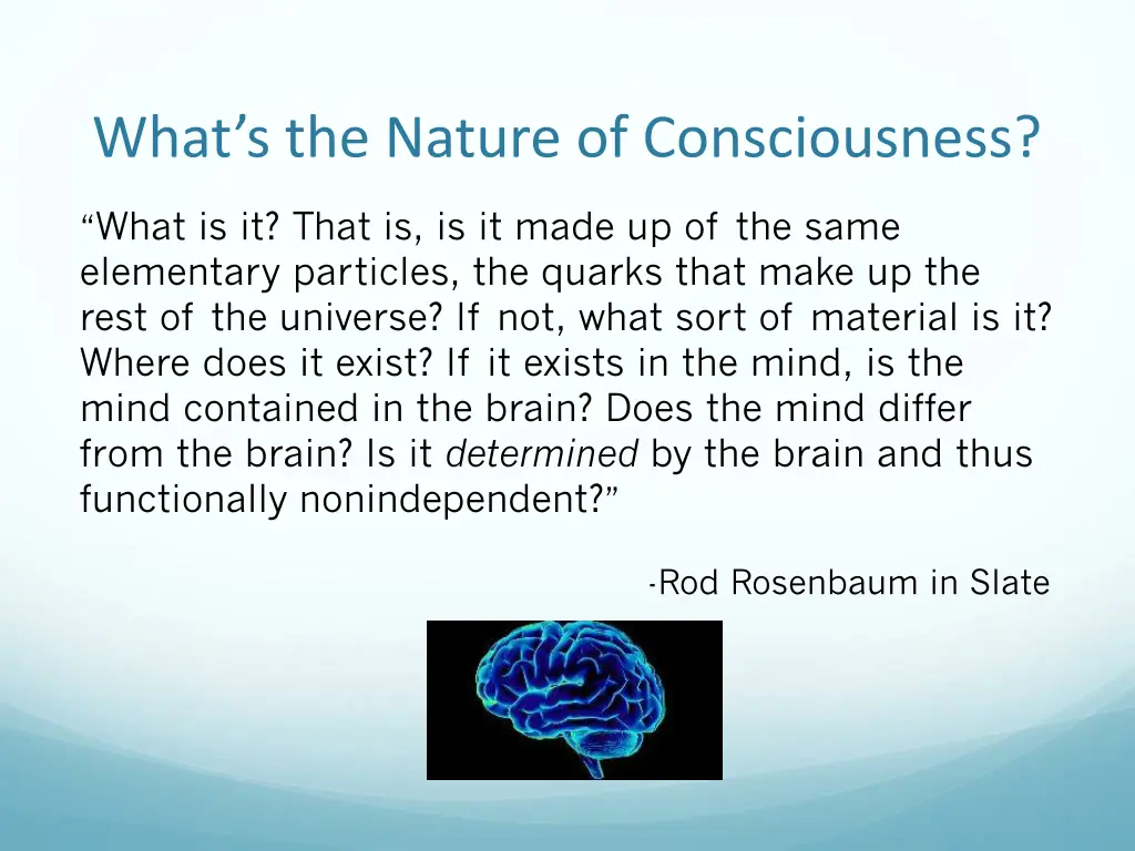 what s the nature of consciousness