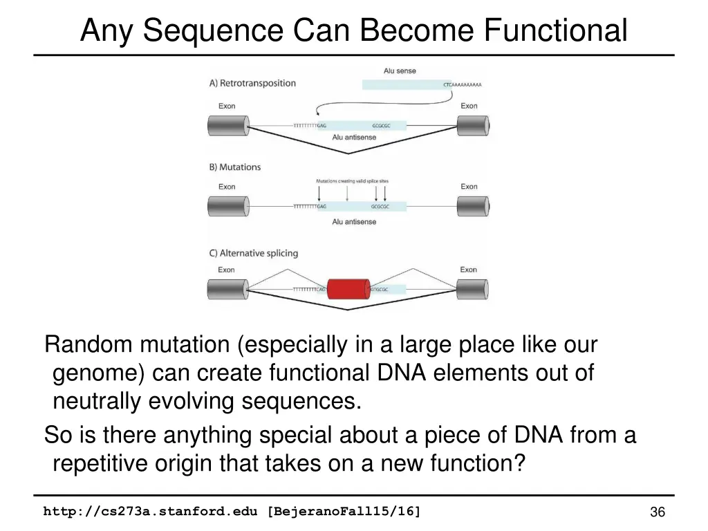 any sequence can become functional