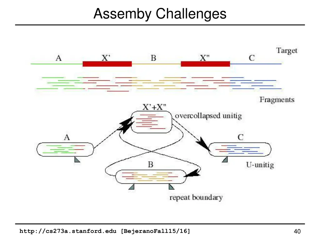 assemby challenges