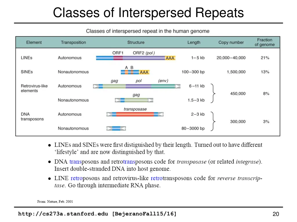 classes of interspersed repeats