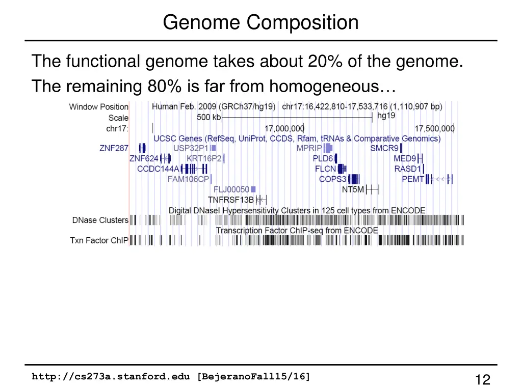 genome composition