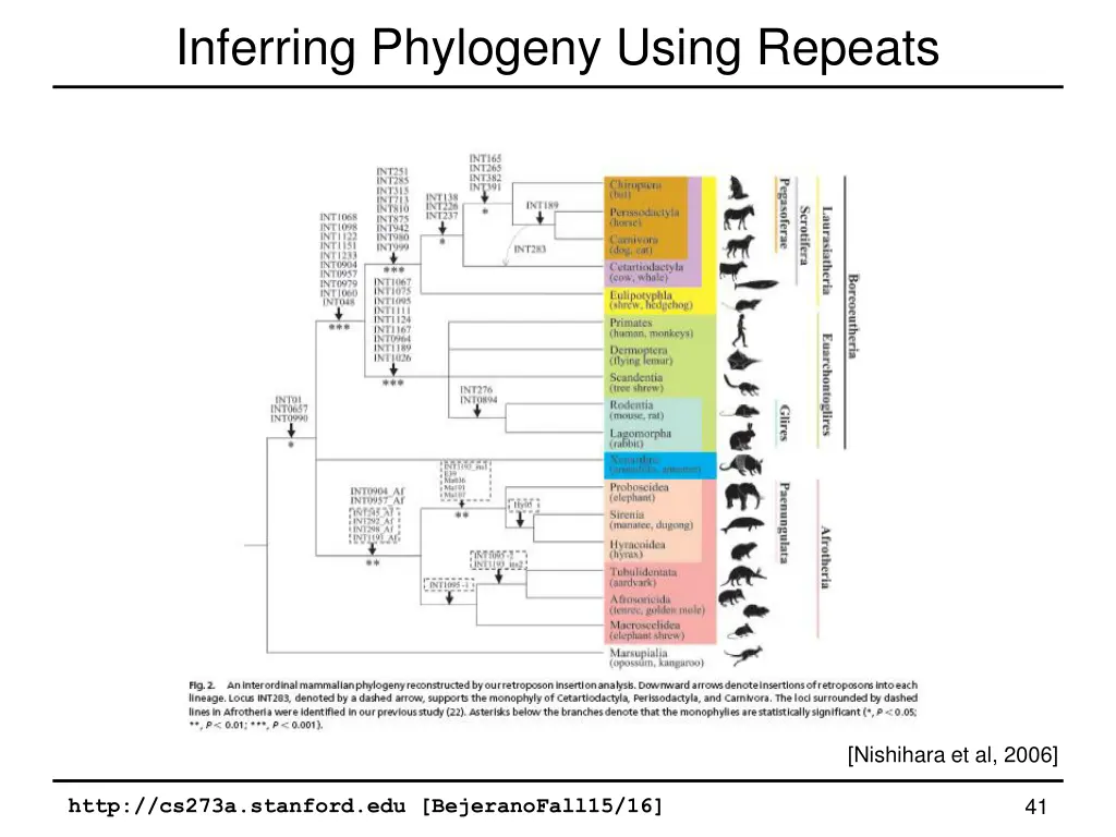inferring phylogeny using repeats