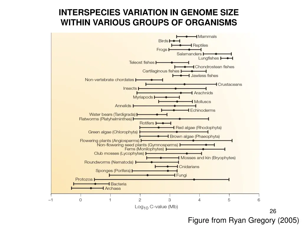 interspecies variation in genome size within