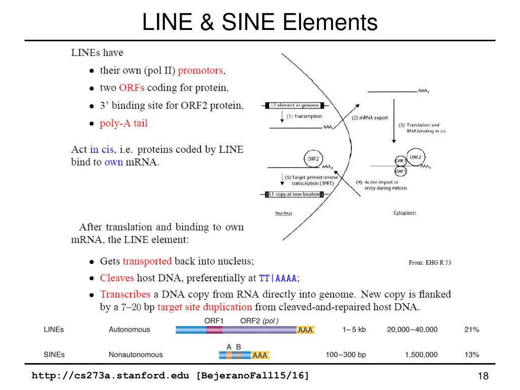 line sine elements 1
