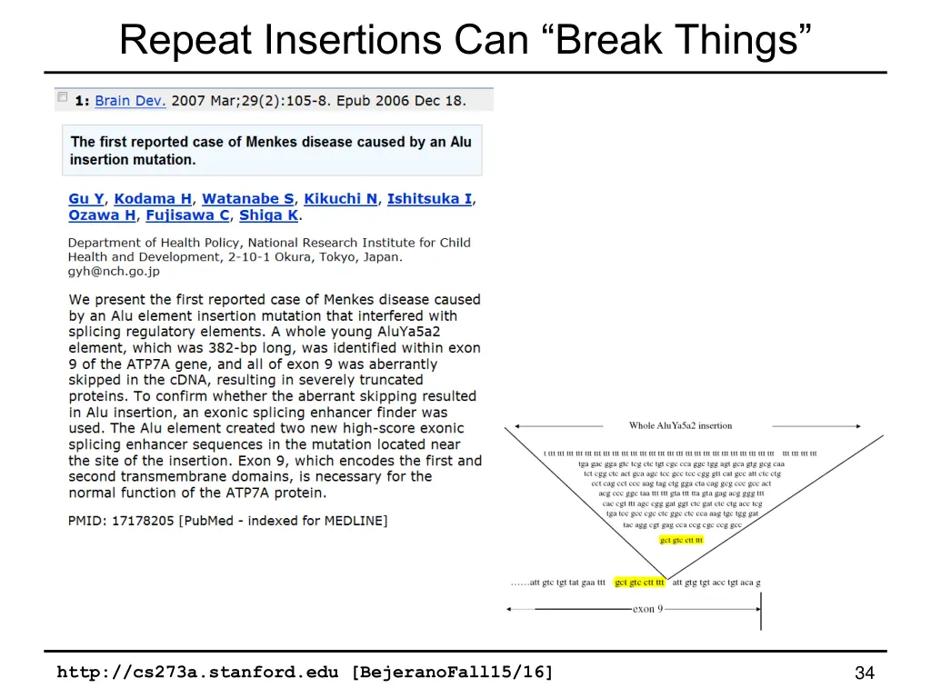 repeat insertions can break things