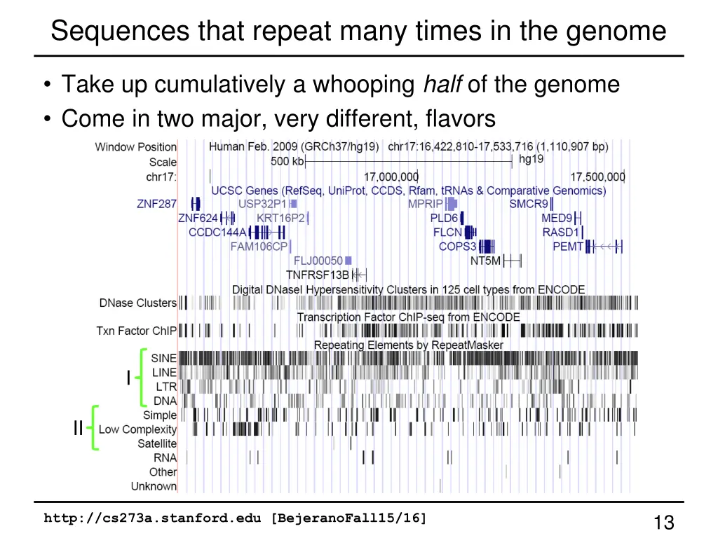 sequences that repeat many times in the genome