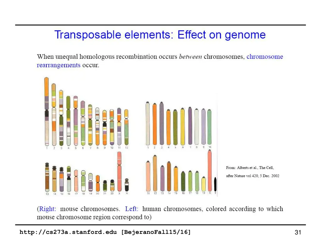 slide31