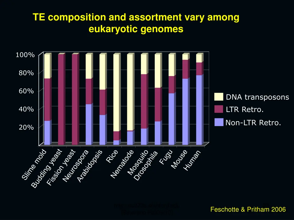 te composition and assortment vary among