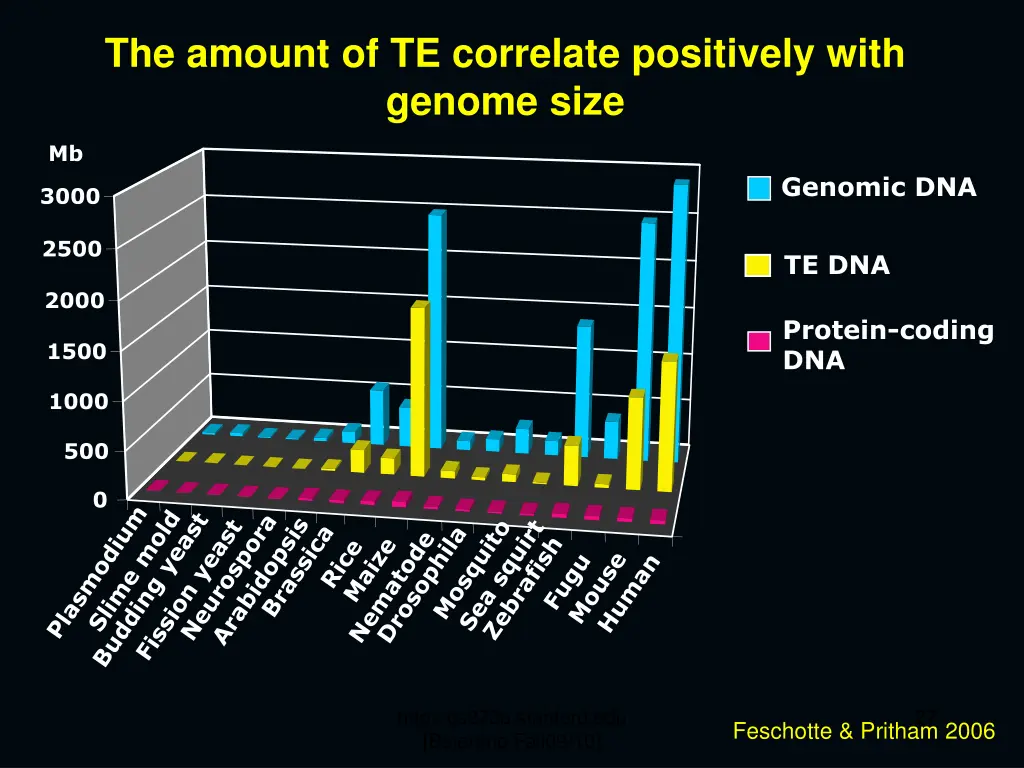 the amount of te correlate positively with genome