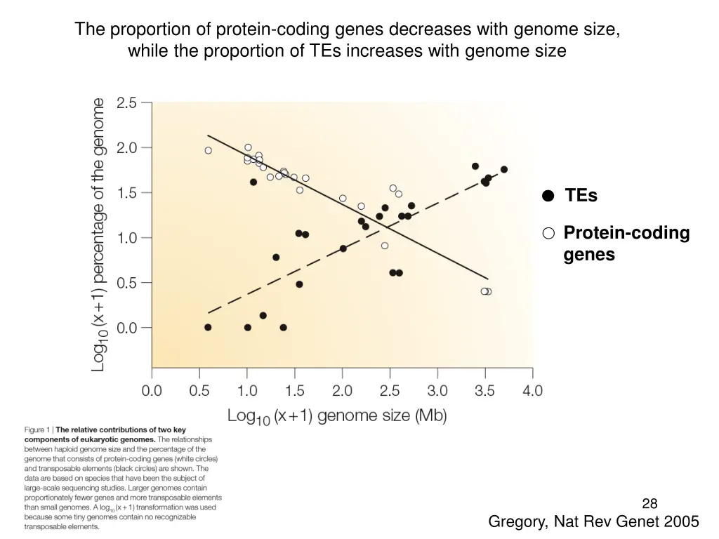 the proportion of protein coding genes decreases