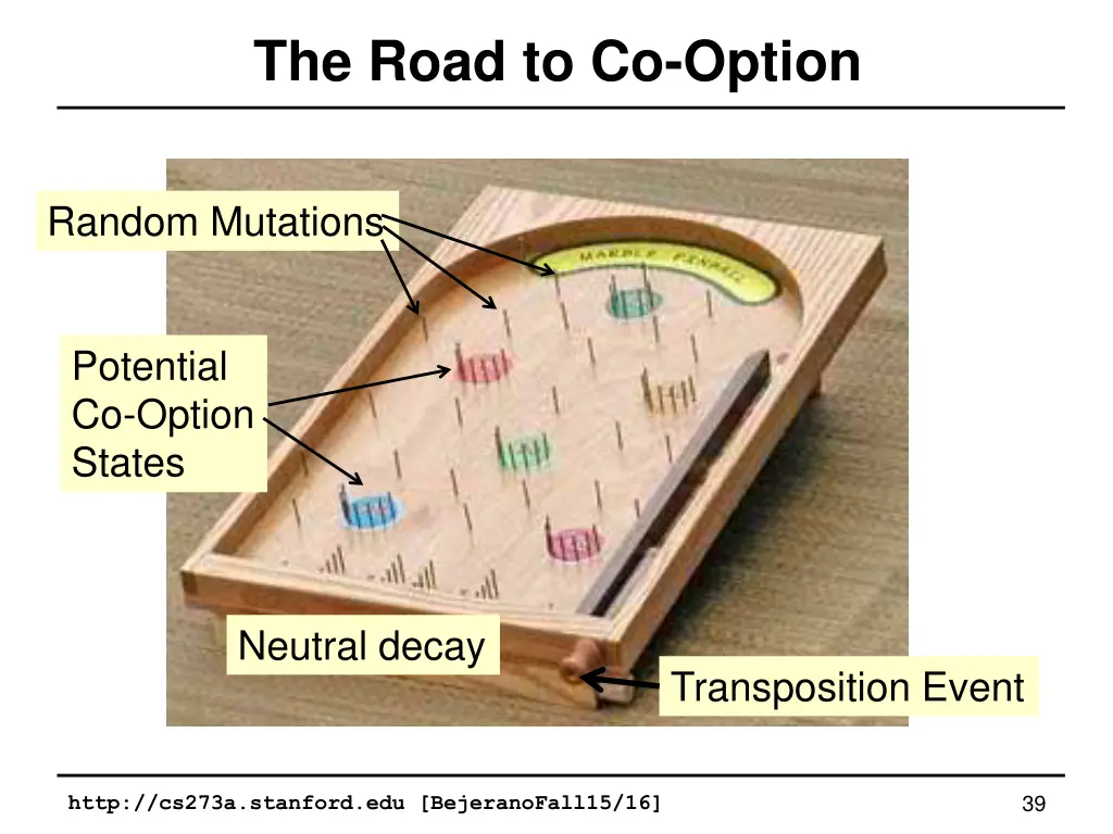 the road to co option