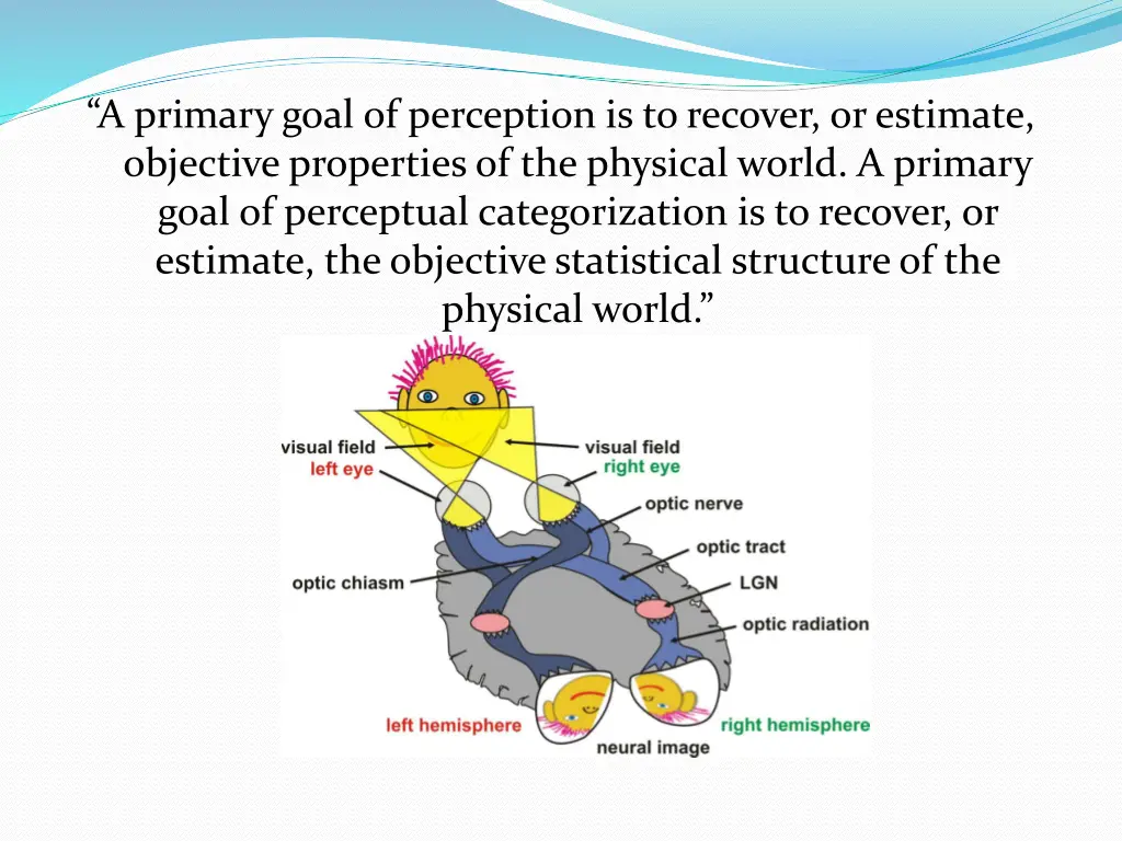 a primary goal of perception is to recover