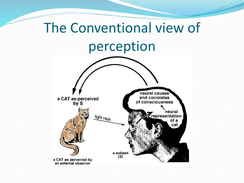 the conventional view of perception
