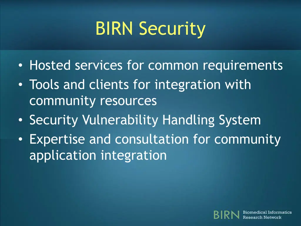 birn security 1