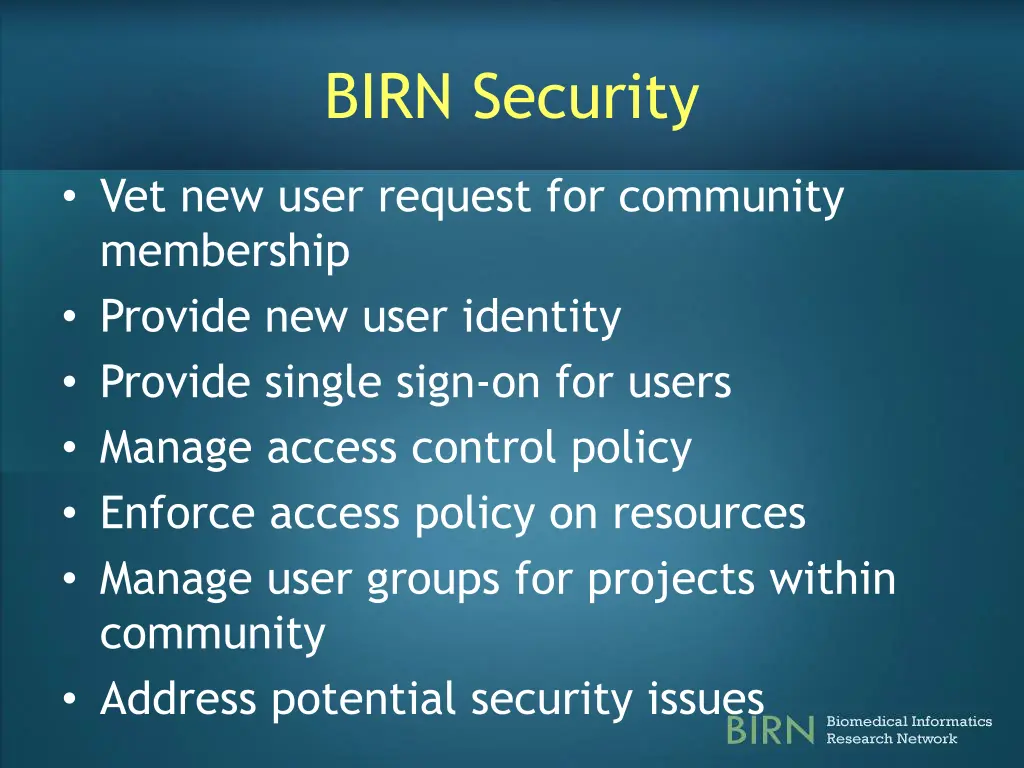 birn security