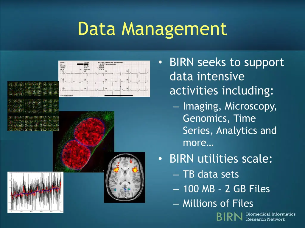 data management