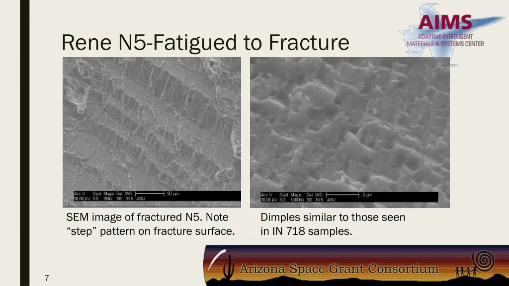 rene n5 fatigued to fracture