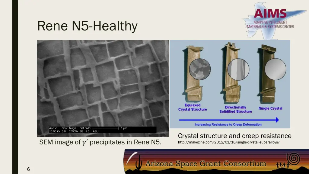 rene n5 healthy