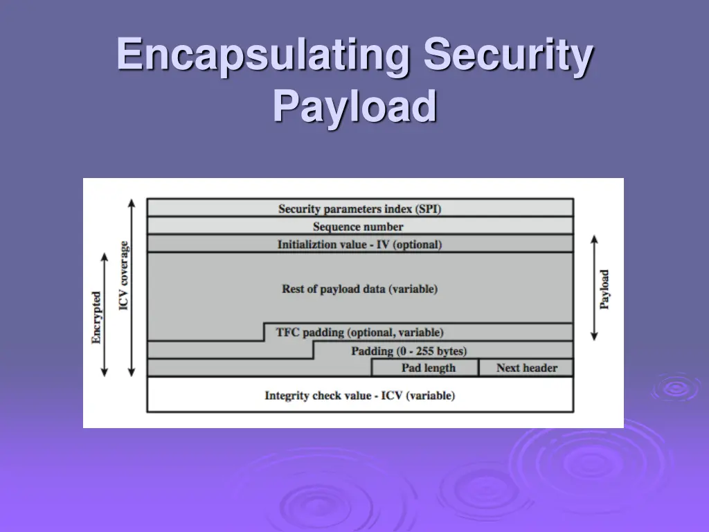 encapsulating security payload