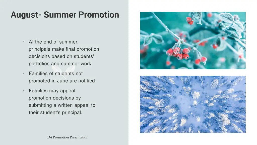 august summer promotion
