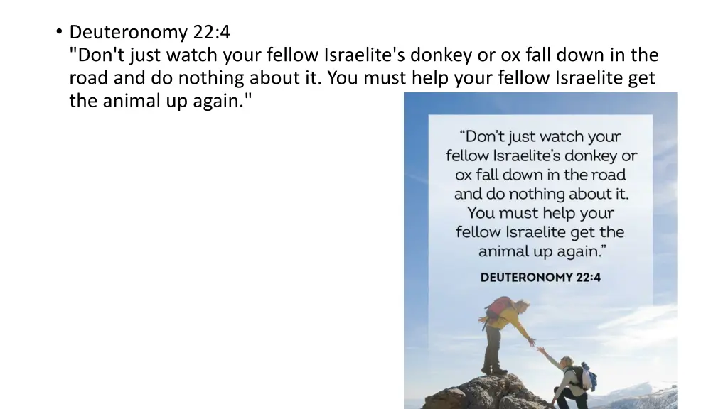 deuteronomy 22 4 don t just watch your fellow