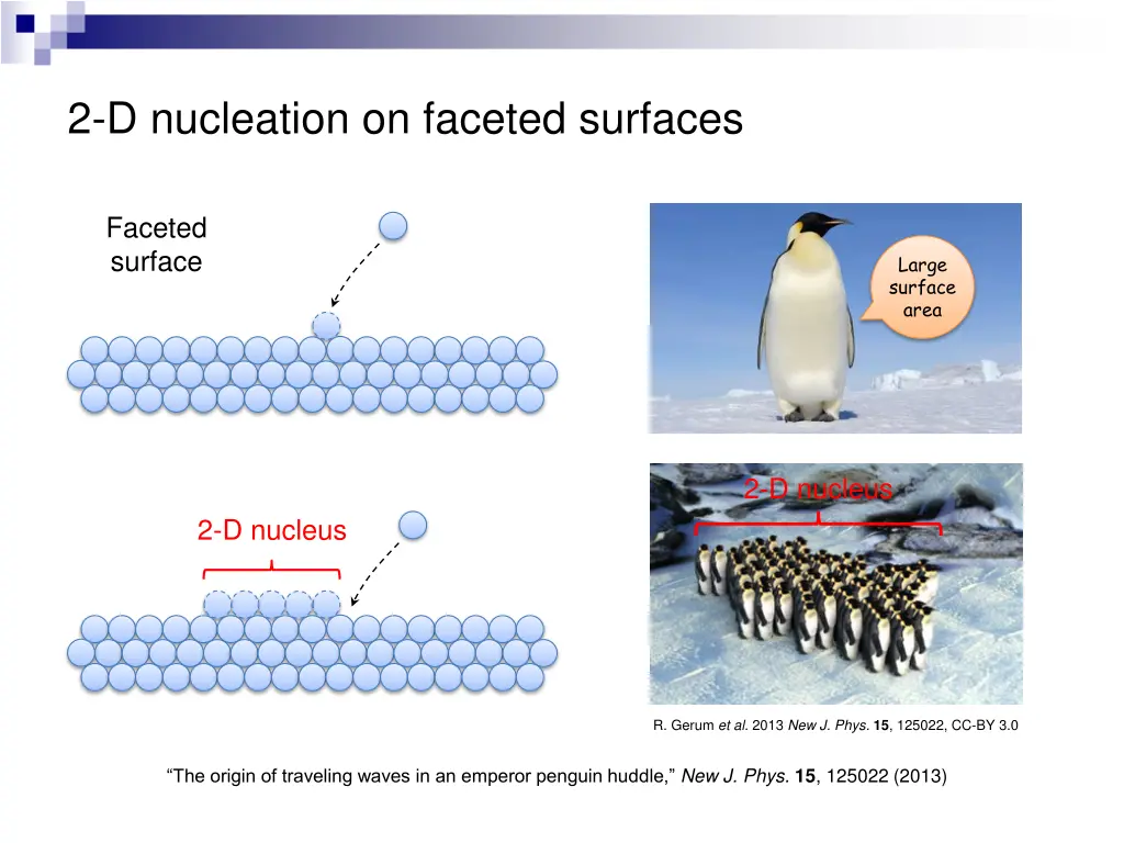 2 d nucleation on faceted surfaces