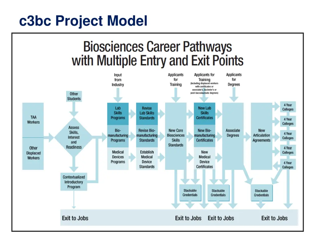 c3bc project model