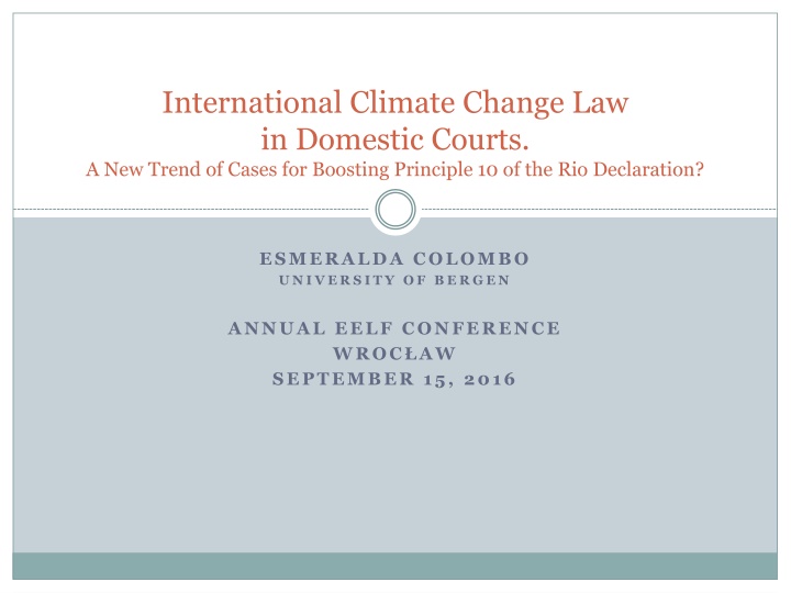 international climate change law in domestic