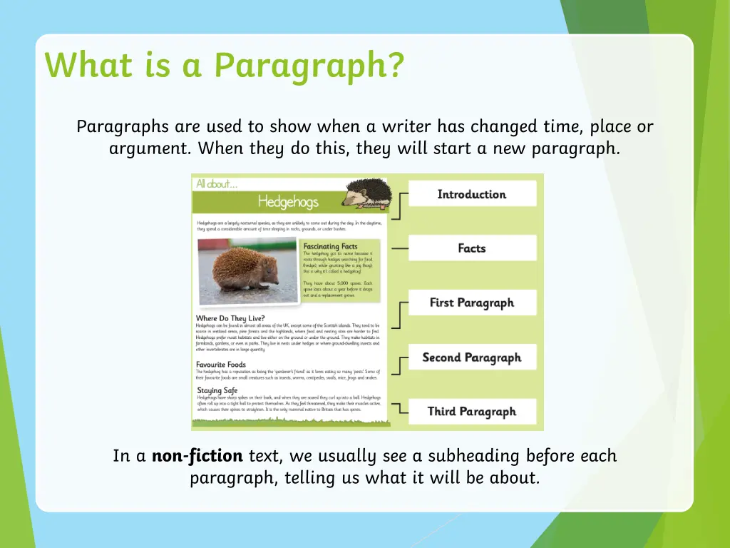 what is a paragraph 1