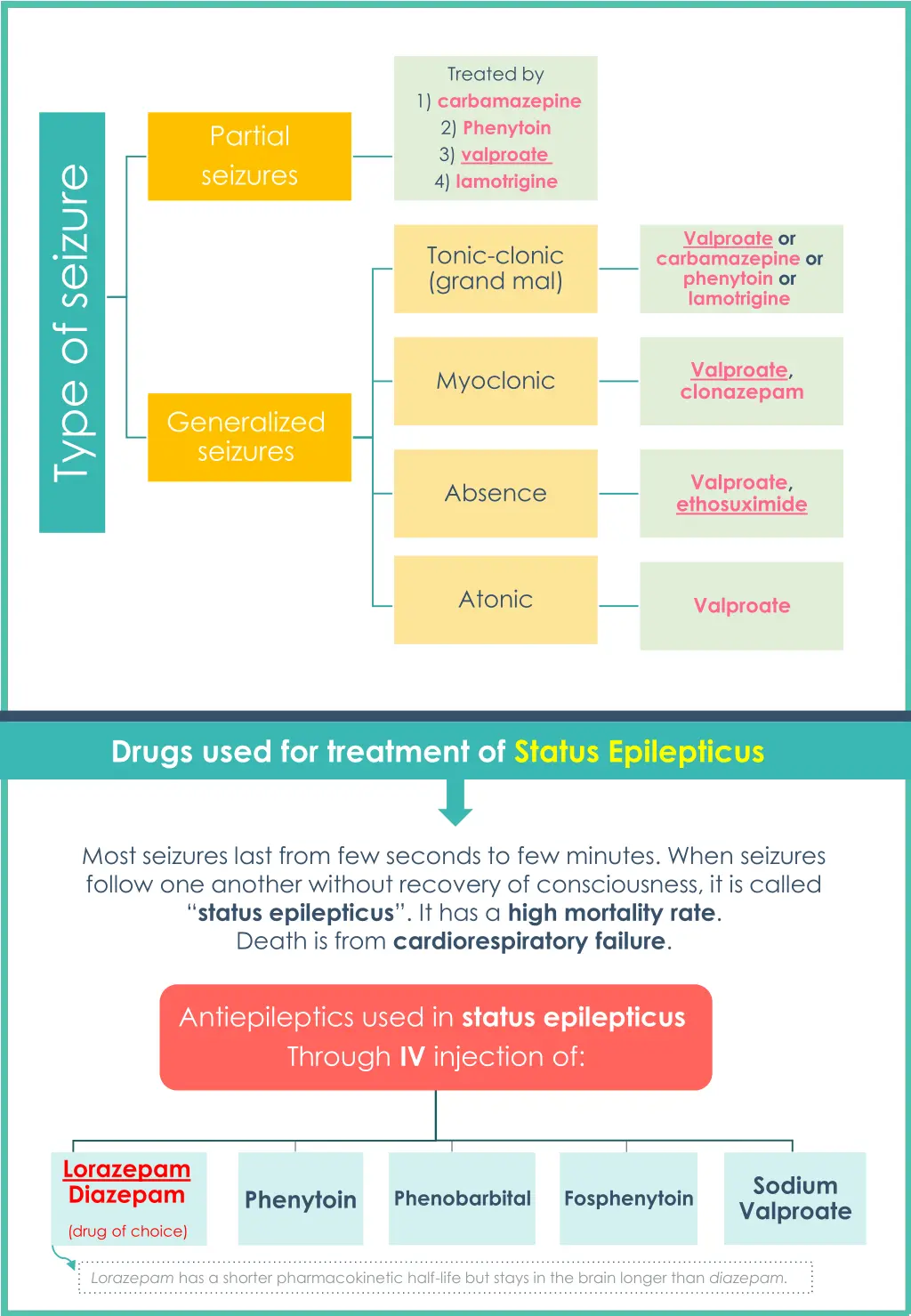 treated by 1 carbamazepine 2 phenytoin