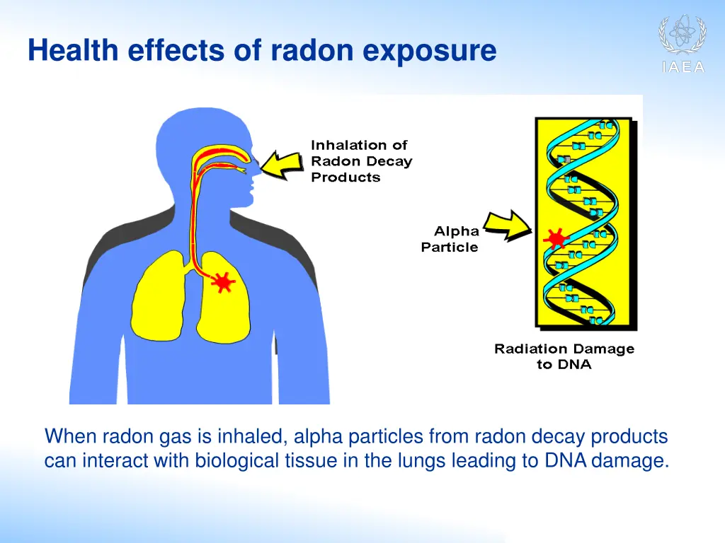 health effects of radon exposure