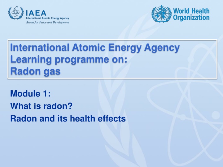 international atomic energy agency learning