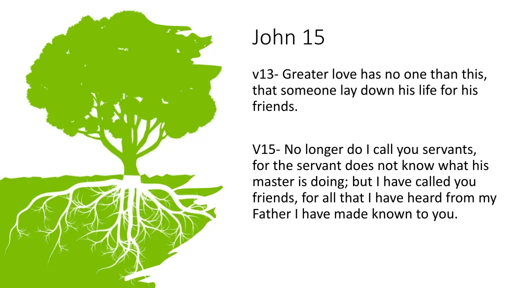 john 15 1
