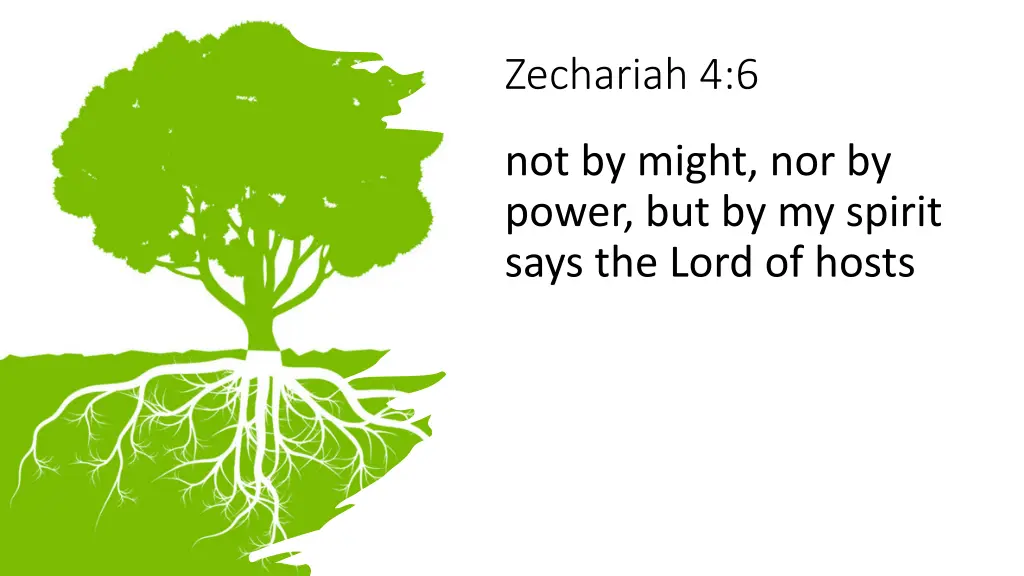 zechariah 4 6