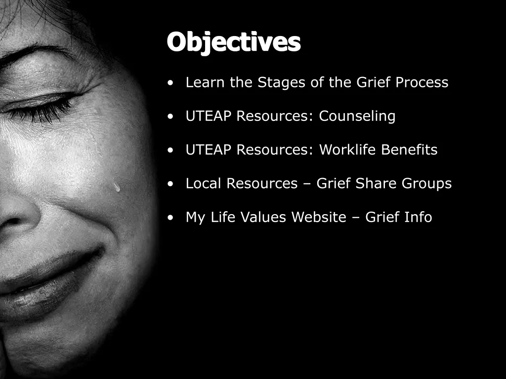 objectives