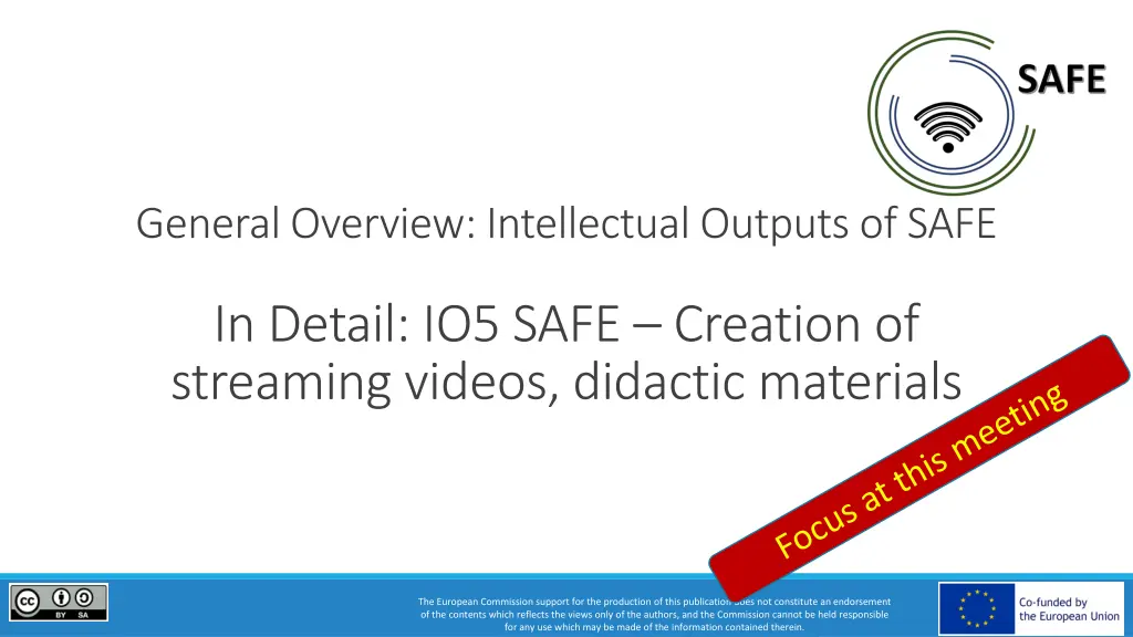 general overview intellectualoutputs of safe