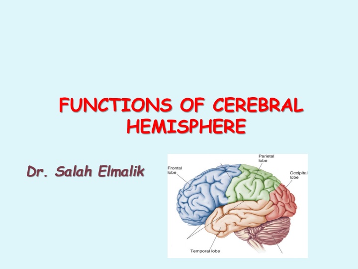 functions of cerebral hemisphere