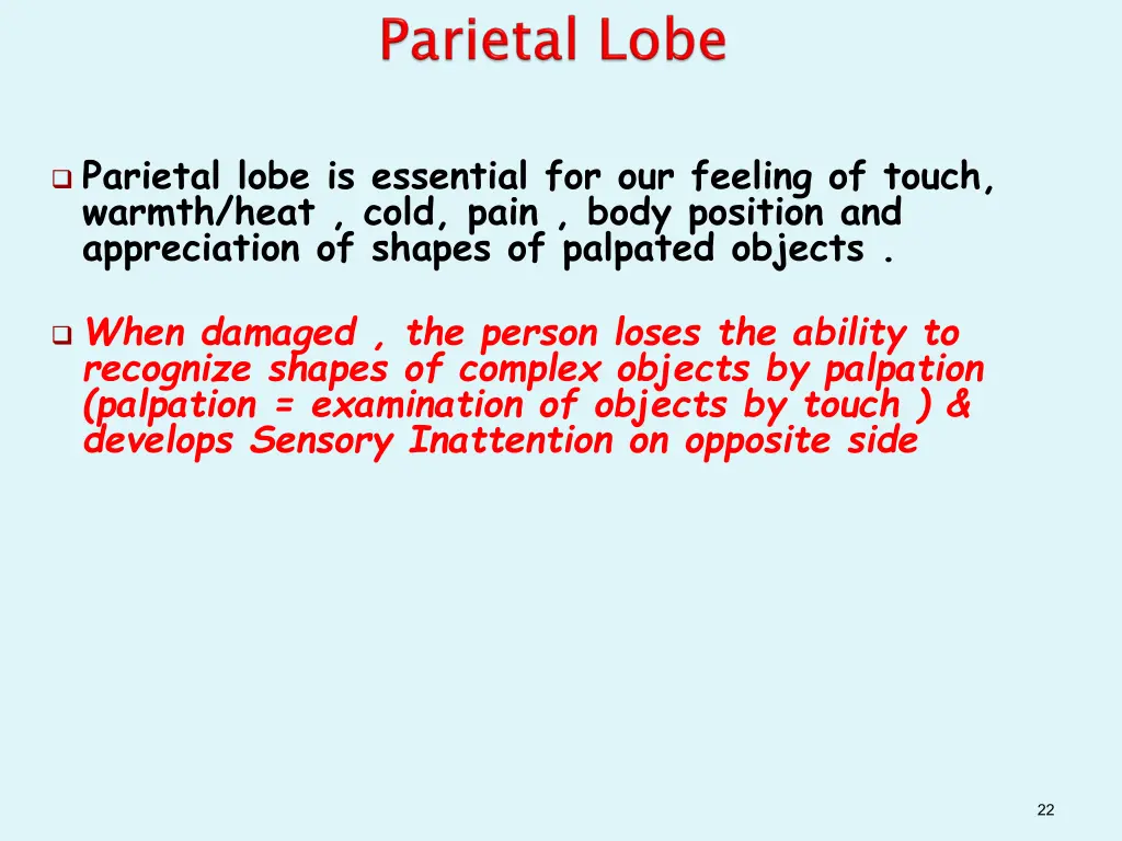 parietal lobe is essential for our feeling