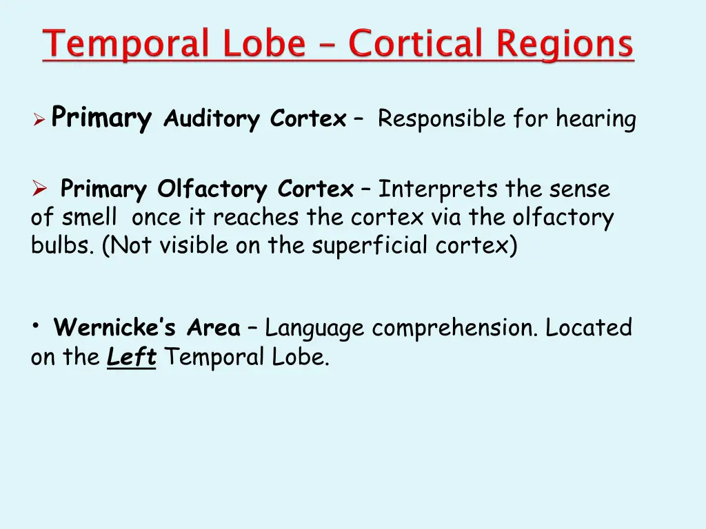 primary auditory cortex responsible for hearing