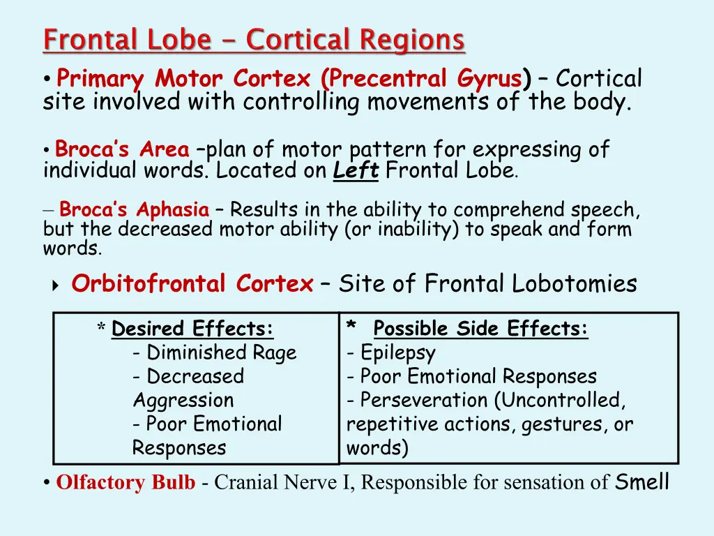 primary motor cortex precentral gyrus cortical
