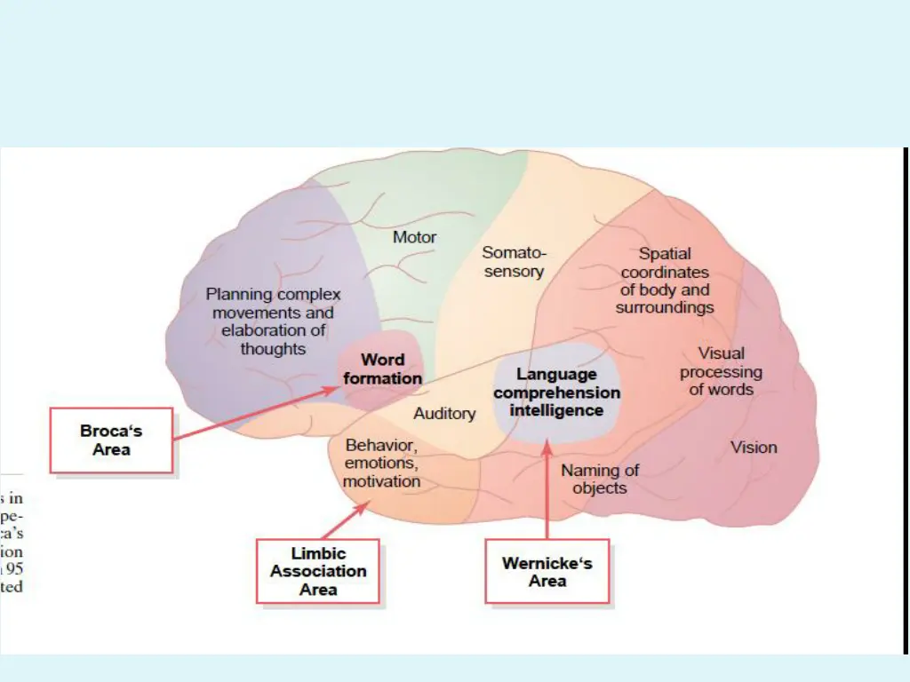 slide12
